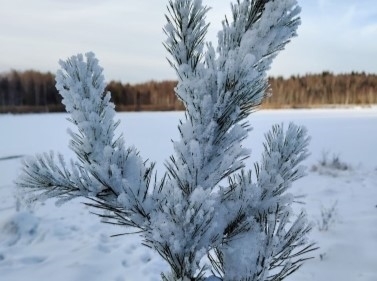 Поход к древним горам Москвы