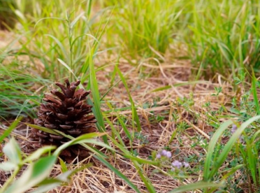 Прогулка от Театральной до Москвы-реки