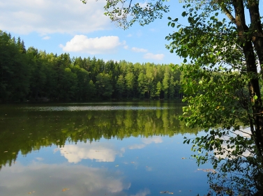 Лесные озёра и болота Подмосковья