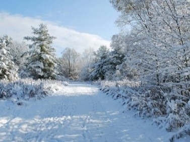 Прогулка по Рублёвскому кольцу