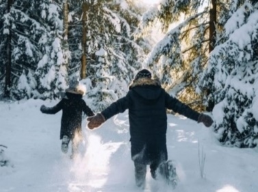 Треккинг по Красногорскому лесу