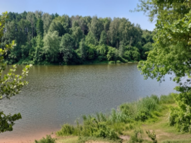 Треккинг по Красногорскому лесу