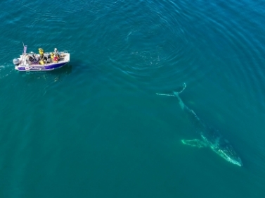 Экспедиция по Чукотке: острова, бухты и мыс Дежнёва