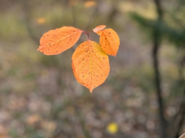 Прогулка к озеру Волкуша