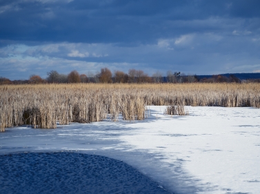 Прогулка к Бельскому болоту