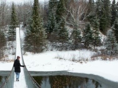 Прогулка по хвойному лесу вдоль Москвы-реки