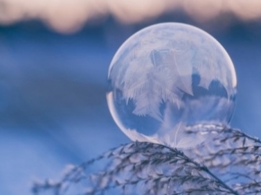 Знакомство с Хлебниковским лесопарком