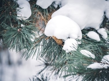 Треккинг к озеру Коряжник