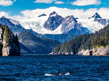 Путешествие на Аляску + Сиэтл: очарование Севера