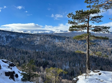 Новогодние каникулы в Адыгее