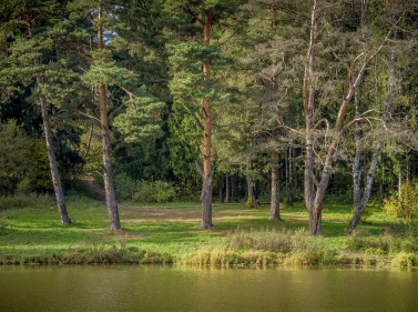 Загородная прогулка по Ромашковским горкам