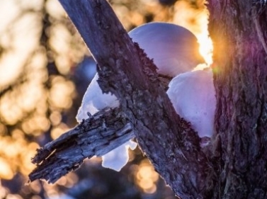 Прогулка к Васильевским каменоломням