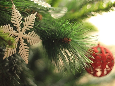 Новый год и Рождество на Алтае + горные лыжи