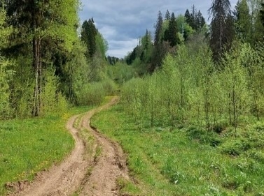 Знакомство с Хлебниковским лесопарком