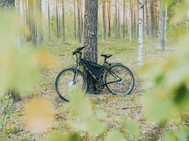 Велопрогулка вокруг озера Нерское