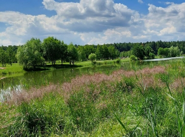 По тропинкам Мещёрского парка