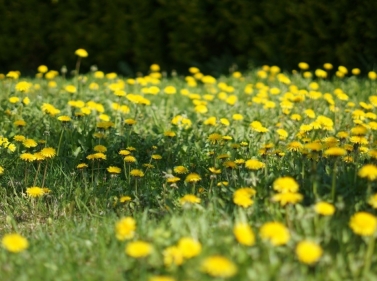 Треккинг к озеру Коряжник