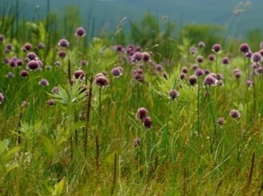 Прогулка по лесу от Шарапово до карьера Сима