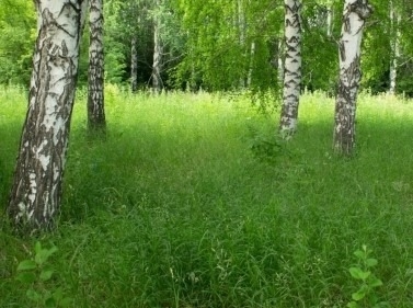 Прогулка по Рублёвскому кольцу