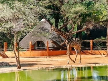 Знакомство с Намибией за 9 дней