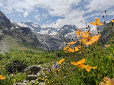 Дигория: восхитительная горная страна