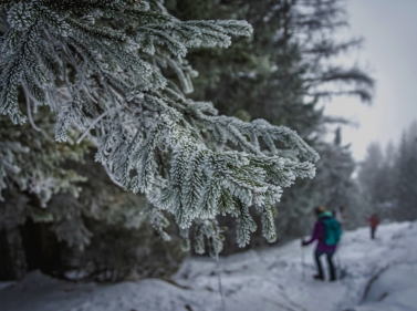Школа туризма: ориентирование