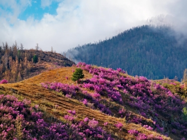 Майские праздники на Алтае