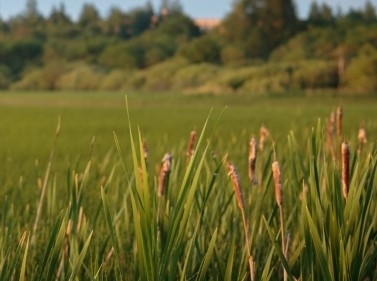 Знаменские пруды и гора Высокая