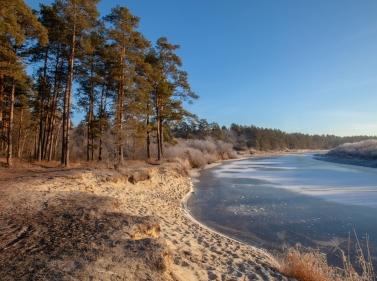 Странники Рязанской тайги