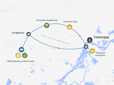 Арктическое сафари на Ямале