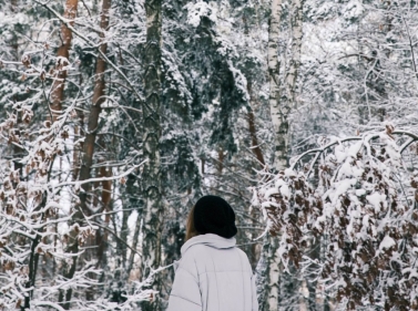 Прогулка по лесопарку Озёрный