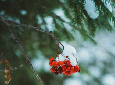 Прогулка к озеру Волкуша