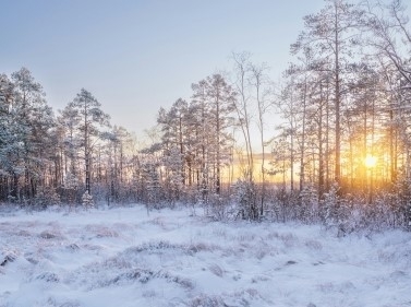 Знаменские пруды и гора Высокая