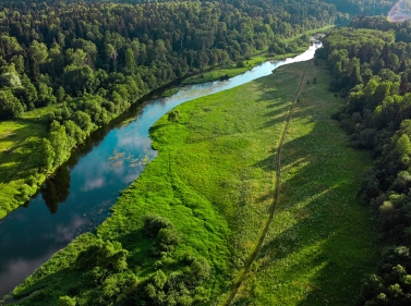 Треккинг по подмосковному лесу в Захарово