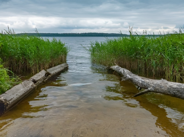 Прогулка к Учинскому водохранилищу