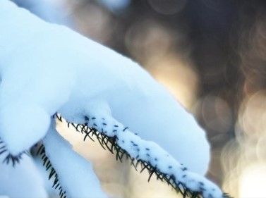 Загородная прогулка по Ромашковским горкам